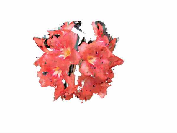flower.gif